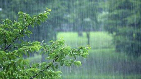 全国13省市区有大到暴雨，具体是哪些城市地区？