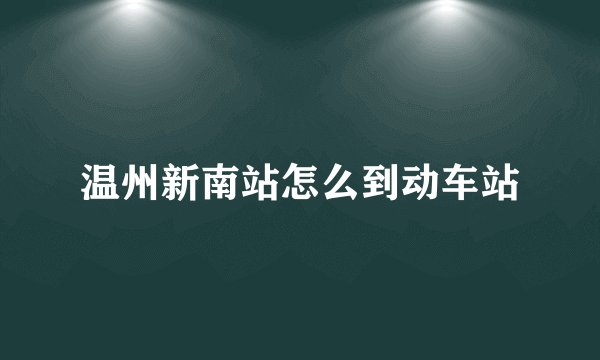 温州新南站怎么到动车站