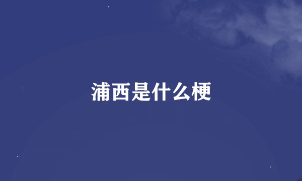 浦西是什么梗