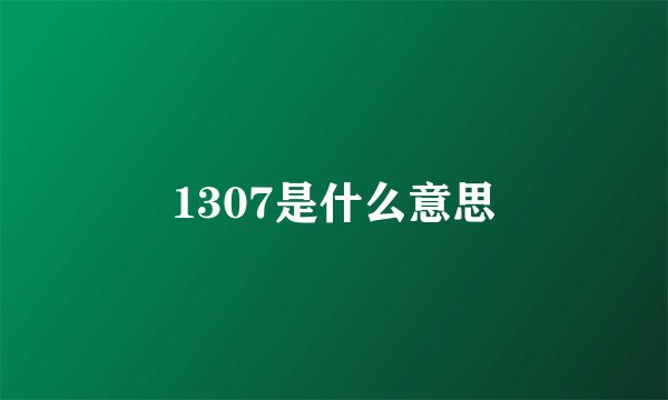 1307是什么意思