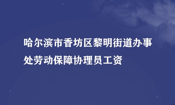 哈尔滨市香坊区黎明街道办事处劳动保障协理员工资