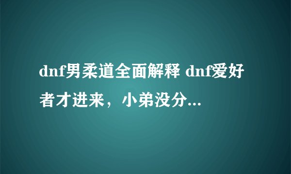 dnf男柔道全面解释 dnf爱好者才进来，小弟没分了....