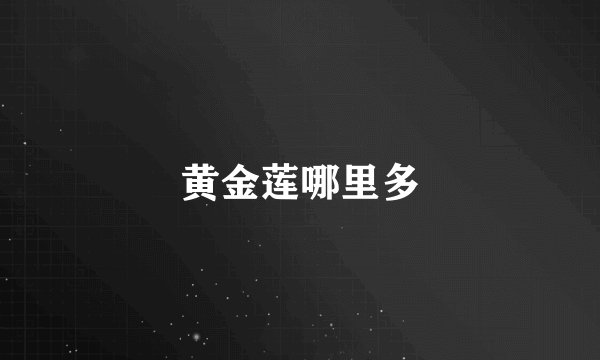 黄金莲哪里多