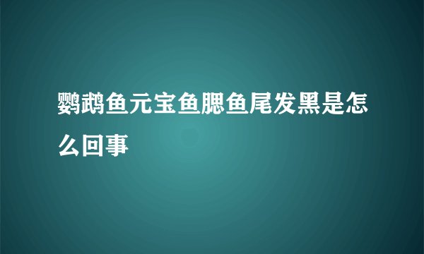 鹦鹉鱼元宝鱼腮鱼尾发黑是怎么回事