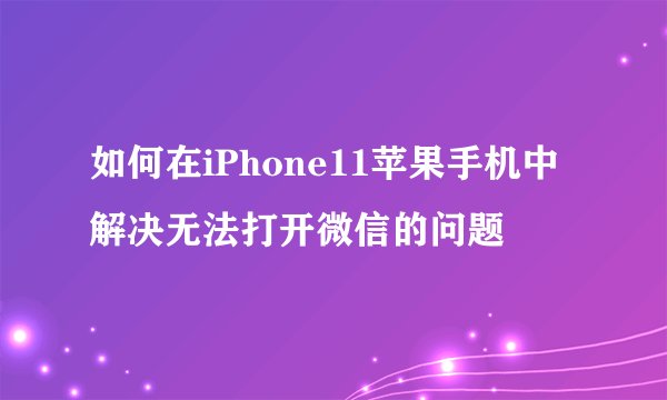 如何在iPhone11苹果手机中解决无法打开微信的问题