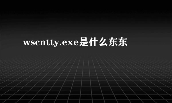 wscntty.exe是什么东东