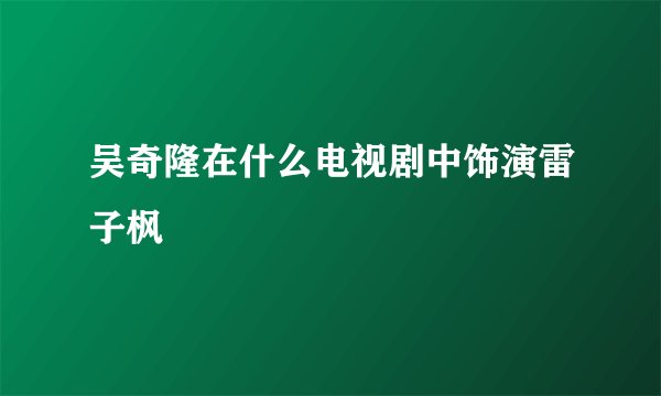 吴奇隆在什么电视剧中饰演雷子枫