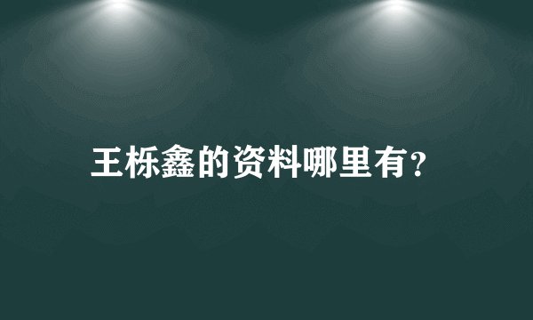 王栎鑫的资料哪里有？