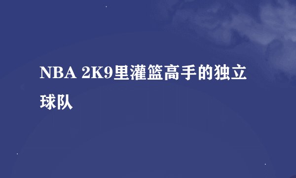 NBA 2K9里灌篮高手的独立球队