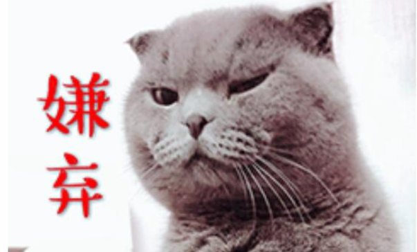 嫌弃是什么意思？