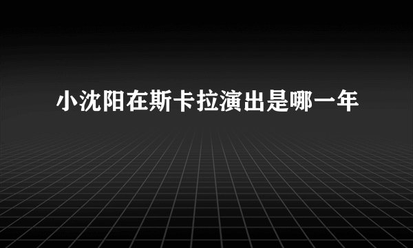小沈阳在斯卡拉演出是哪一年