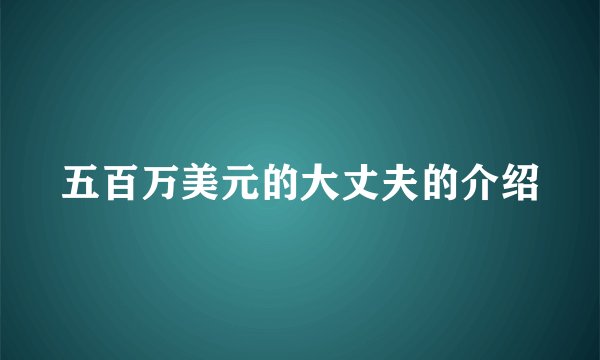 五百万美元的大丈夫的介绍