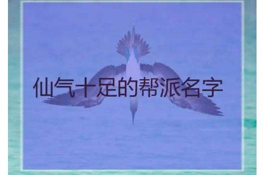 骚气十足的帮派名字有哪些？
