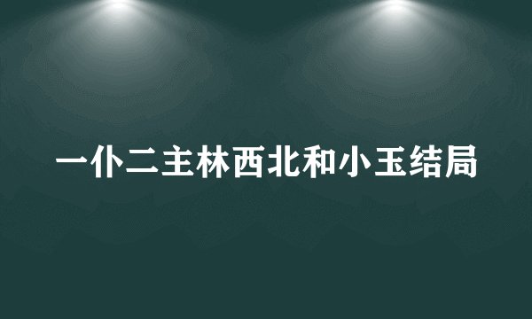 一仆二主林西北和小玉结局