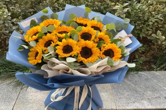 高考送葵花是什么意思