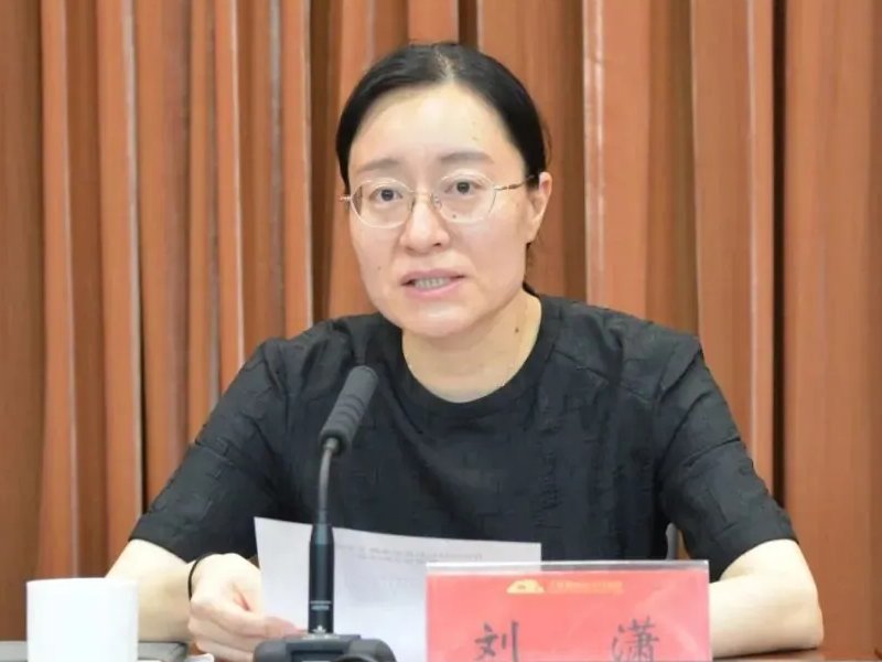 常州经开区刘潇简历