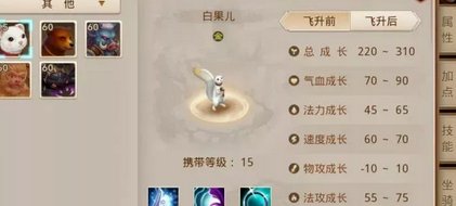 问道白果儿怎么加点和抗性