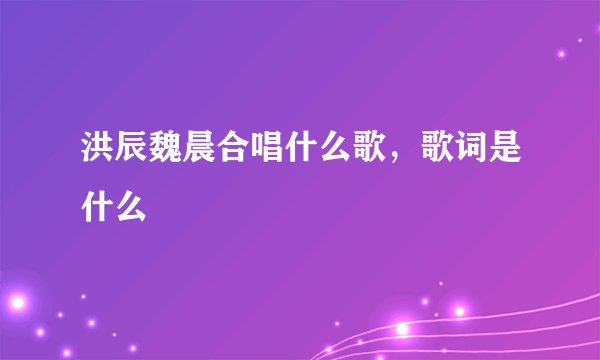 洪辰魏晨合唱什么歌，歌词是什么