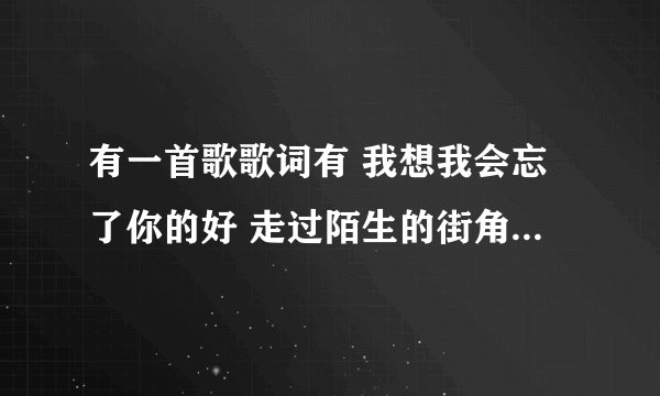 有一首歌歌词有 我想我会忘了你的好 走过陌生的街角 求名字