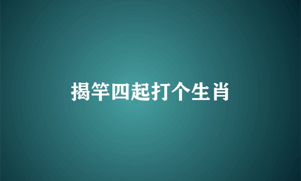 揭竿四起打个生肖