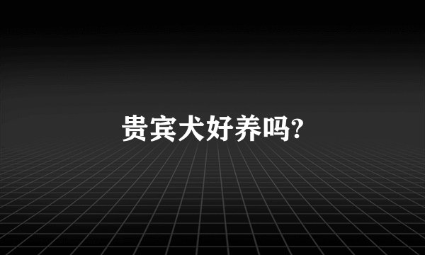 贵宾犬好养吗?