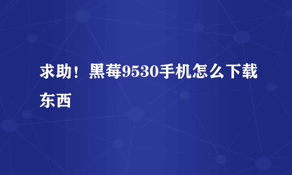 求助！黑莓9530手机怎么下载东西
