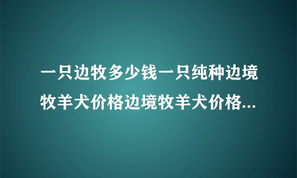 一只边牧多少钱一只纯种边境牧羊犬价格边境牧羊犬价格多少钱一只