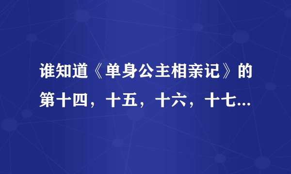 谁知道《单身公主相亲记》的第十四，十五，十六，十七集的剧情阿？