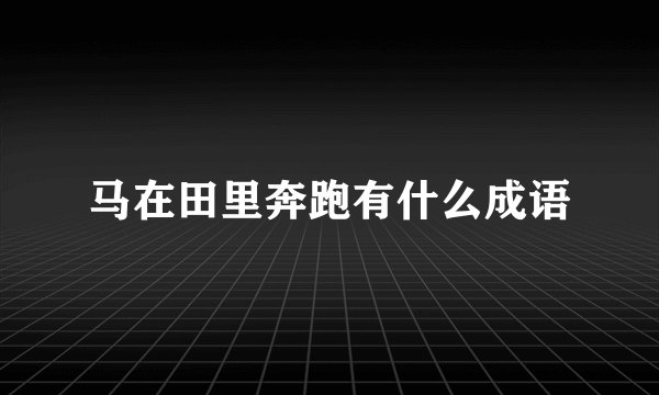 马在田里奔跑有什么成语
