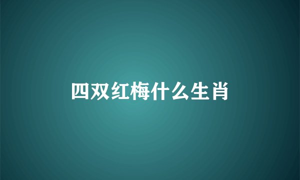 四双红梅什么生肖