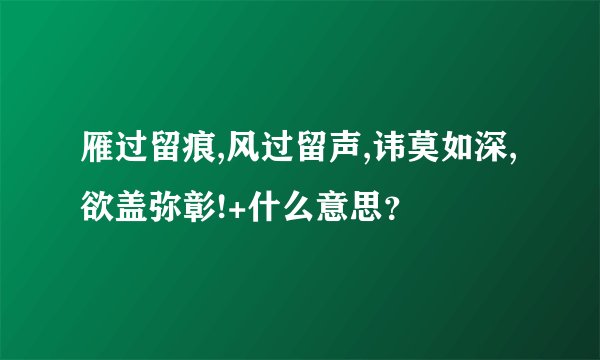 雁过留痕,风过留声,讳莫如深,欲盖弥彰!+什么意思？