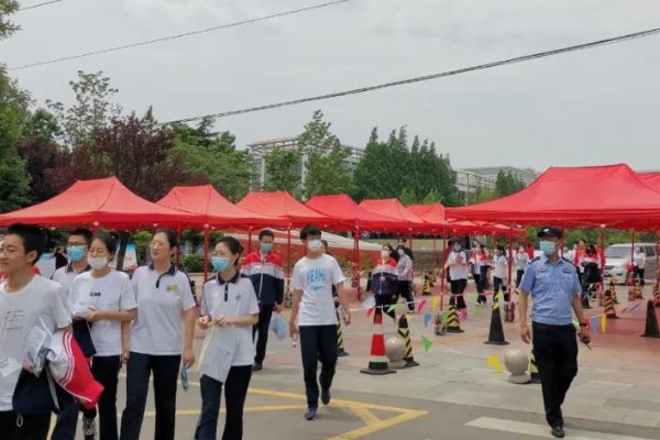 高考怎么查排名