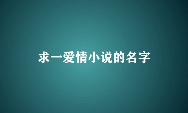 求一爱情小说的名字