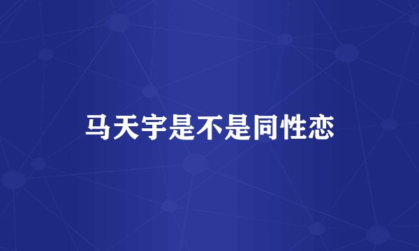 马天宇是不是同性恋