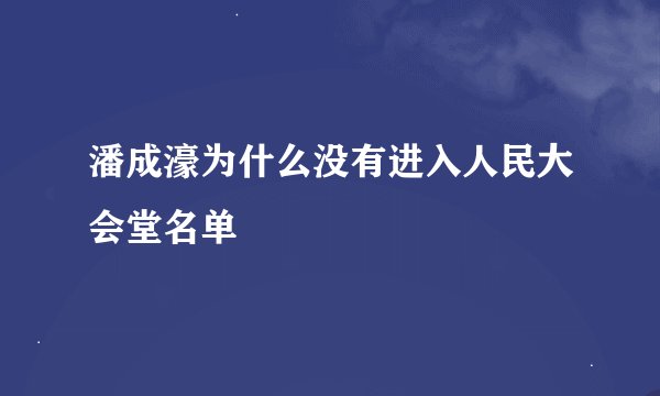 潘成濠为什么没有进入人民大会堂名单