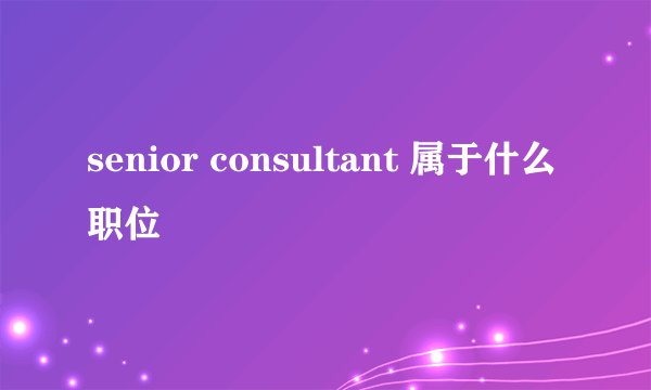 senior consultant 属于什么职位