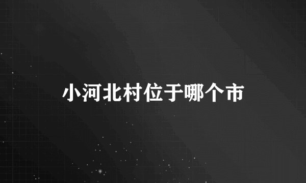小河北村位于哪个市