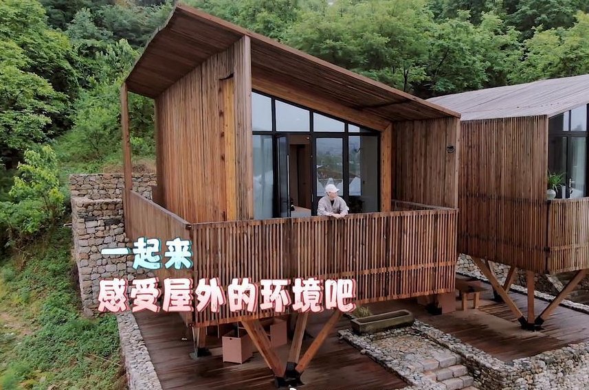 马伯骞爸爸为何要在乡村建民宿？