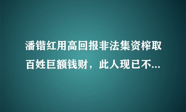 潘锴红用高回报非法集资榨取百姓巨额钱财，此人现已不知去向，众多的受骗者现聚集在黄埔露灵滋总部要说法