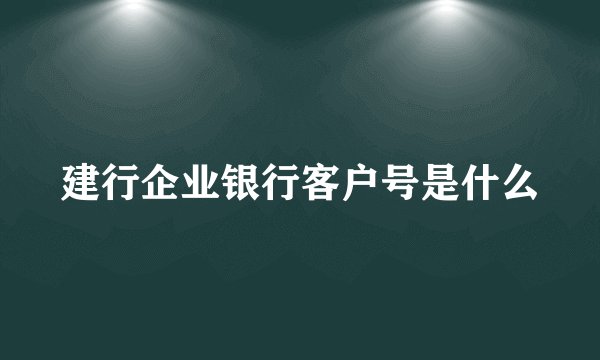 建行企业银行客户号是什么