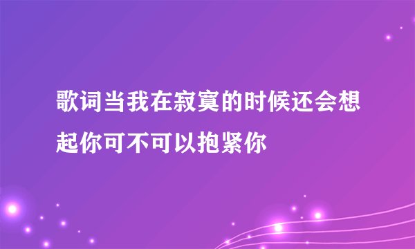 歌词当我在寂寞的时候还会想起你可不可以抱紧你