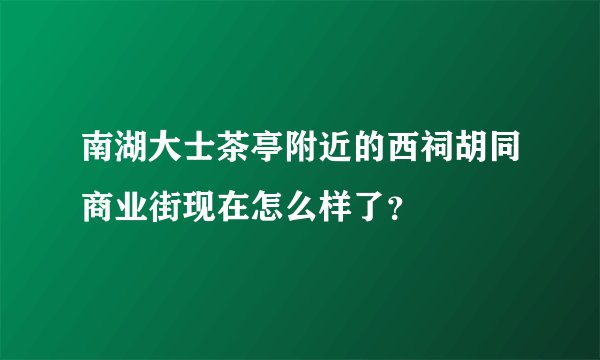 南湖大士茶亭附近的西祠胡同商业街现在怎么样了？