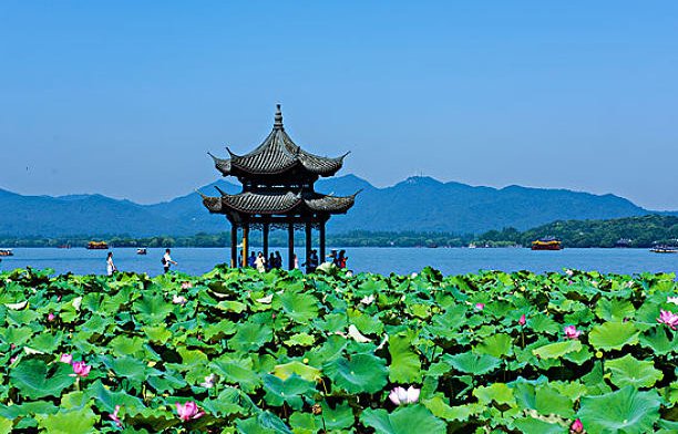 今年夏天又四十度了是什么意思？