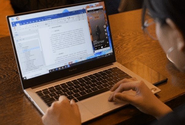 bushi是什么意思