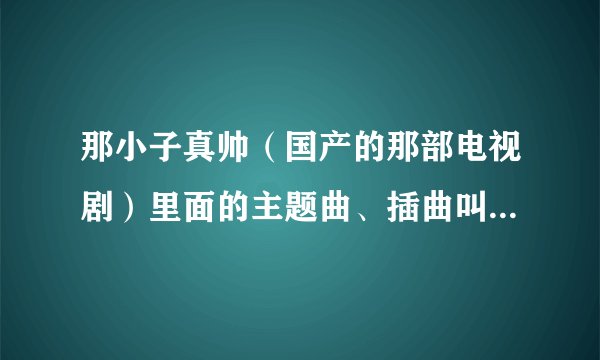 那小子真帅（国产的那部电视剧）里面的主题曲、插曲叫什么名字？有哪些？