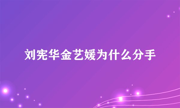 刘宪华金艺媛为什么分手