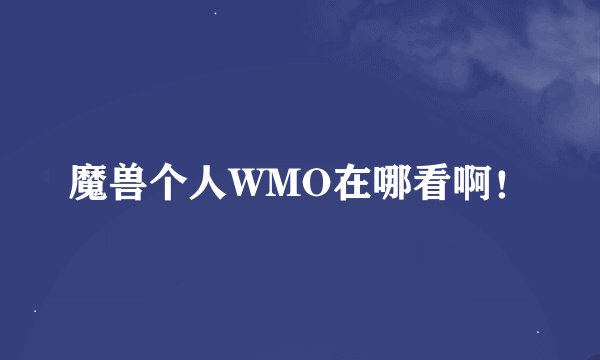 魔兽个人WMO在哪看啊！