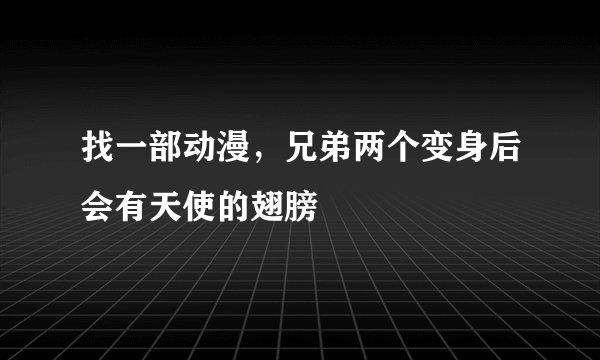 找一部动漫，兄弟两个变身后会有天使的翅膀