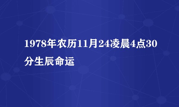 1978年农历11月24凌晨4点30分生辰命运