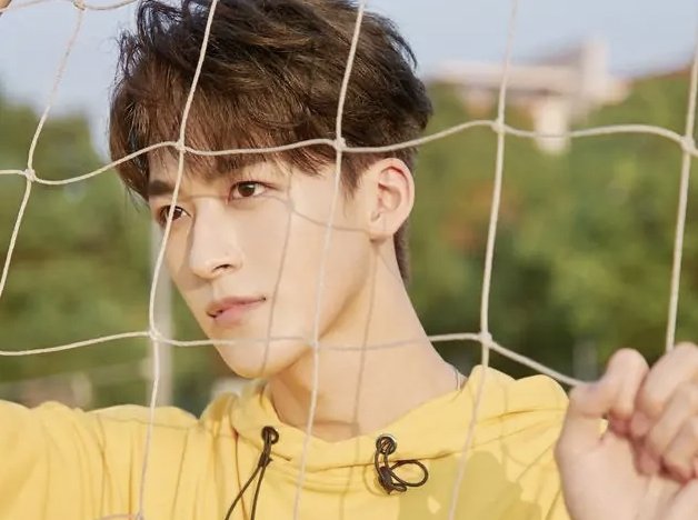 知名艺人何洛洛为违反交通法规道歉，过往还出现过哪些翻车行为？